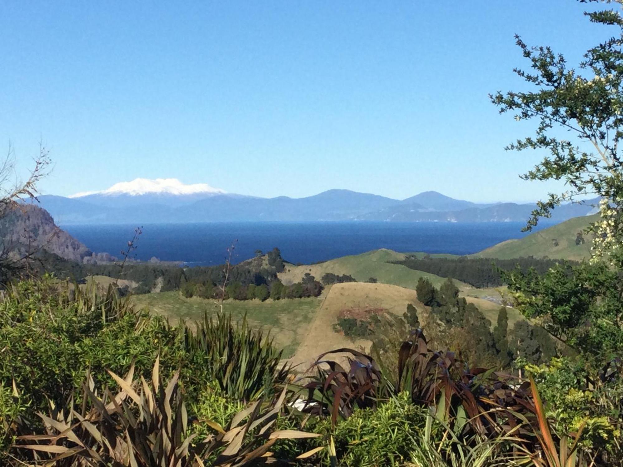 Whakaipo Bay Cabin Retreat Taupo Exteriér fotografie